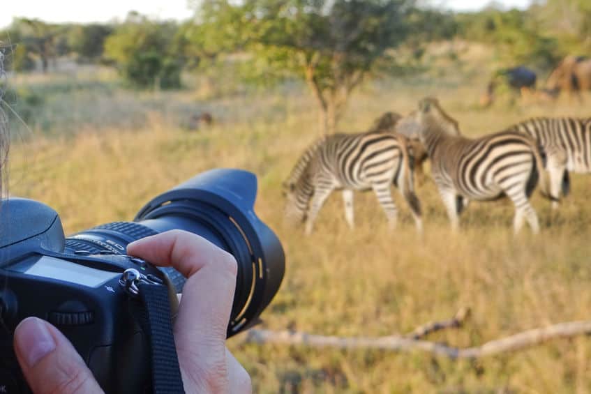 safari zoom camera